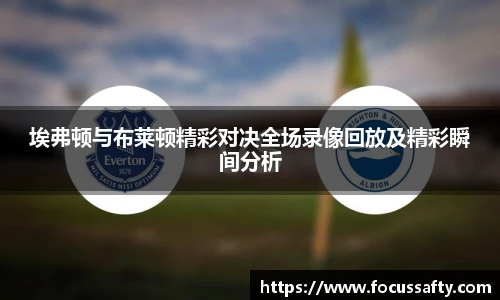 zoty中欧埃弗顿与布莱顿精彩对决全场录像回放及精彩瞬间分析